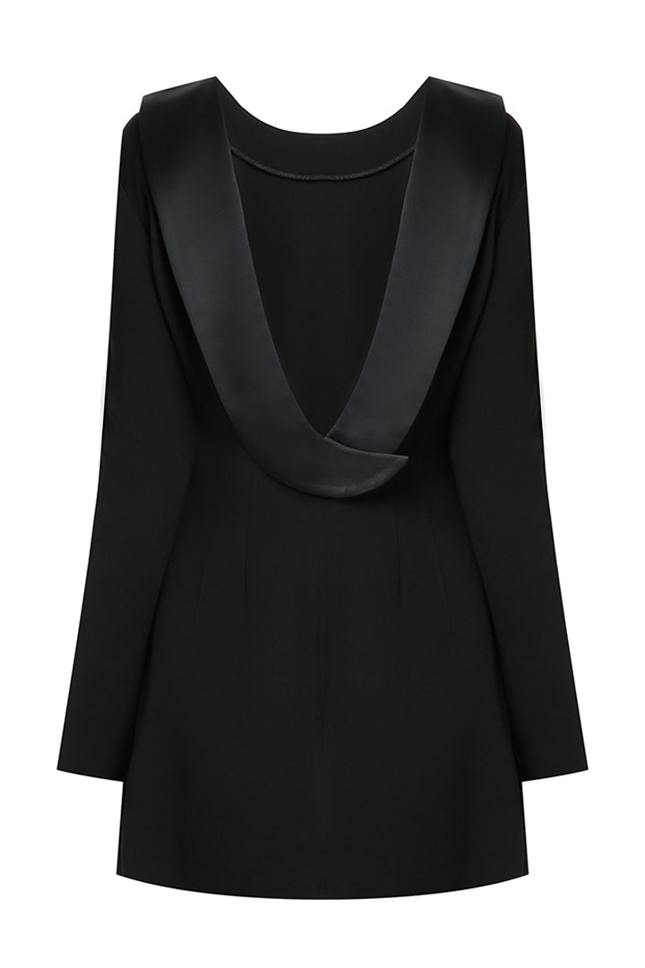 Silk Open Back Dress