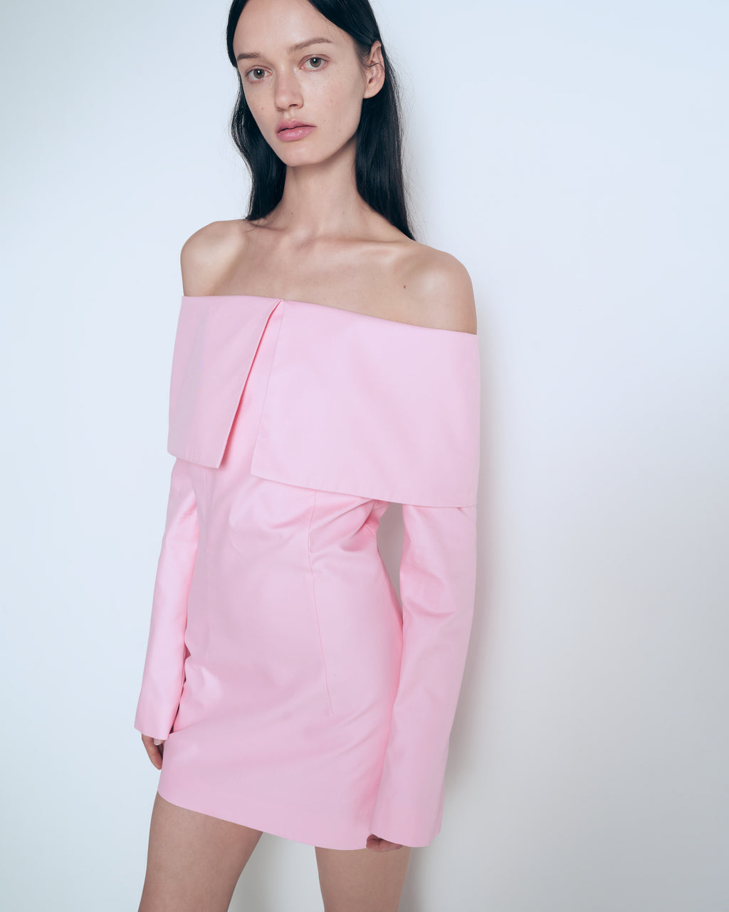 Large fold-down collar dress